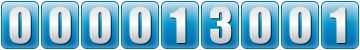 website counter